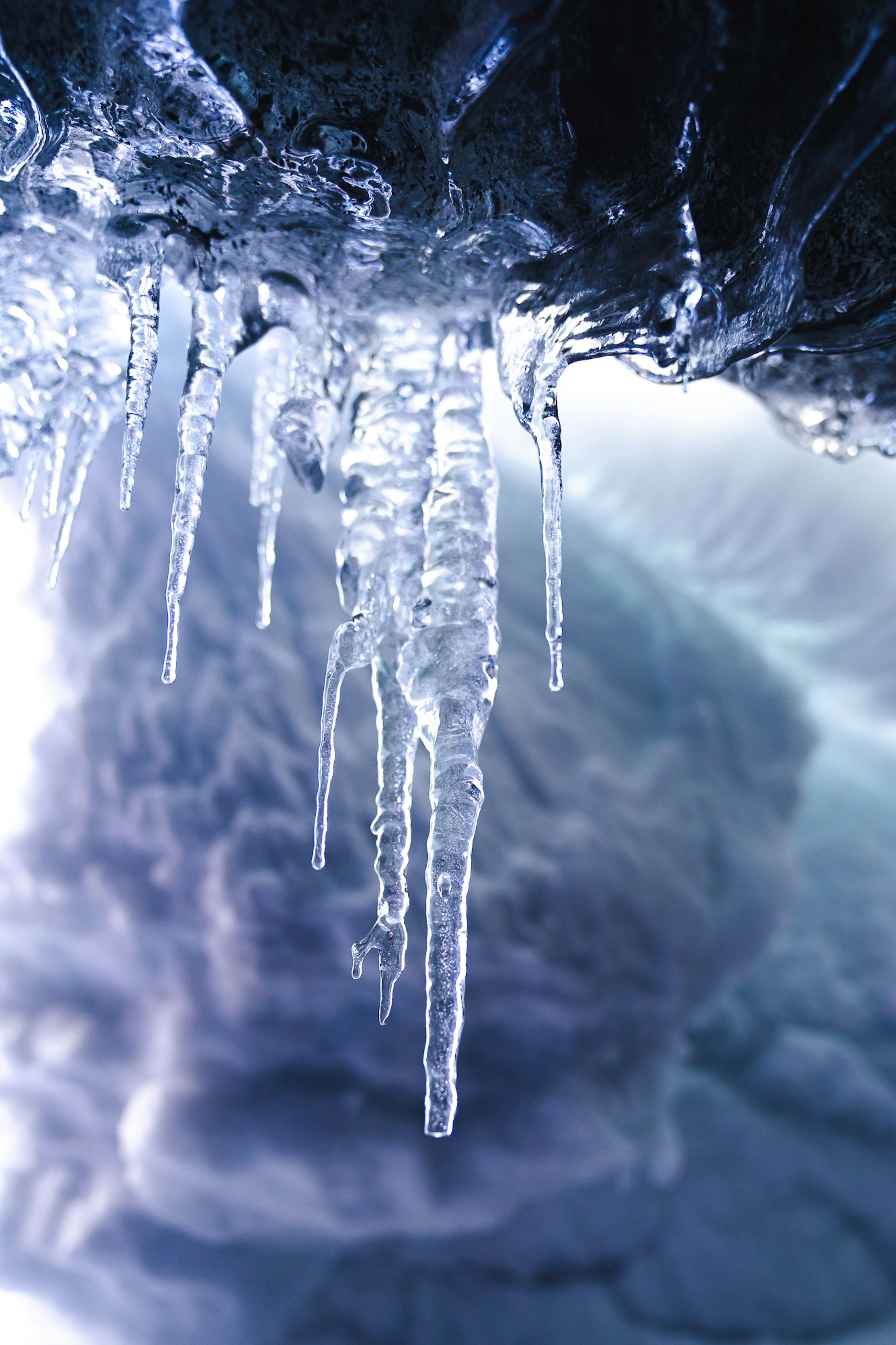 white ice on brown tree branch